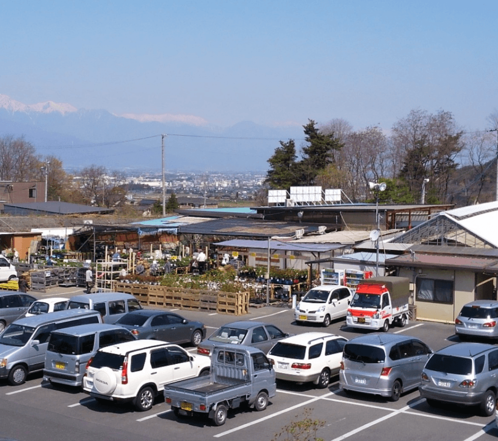 松本アルプス市場